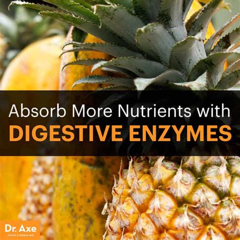 Absorb More Nutrients With Digestive Enzymes Dr Axe