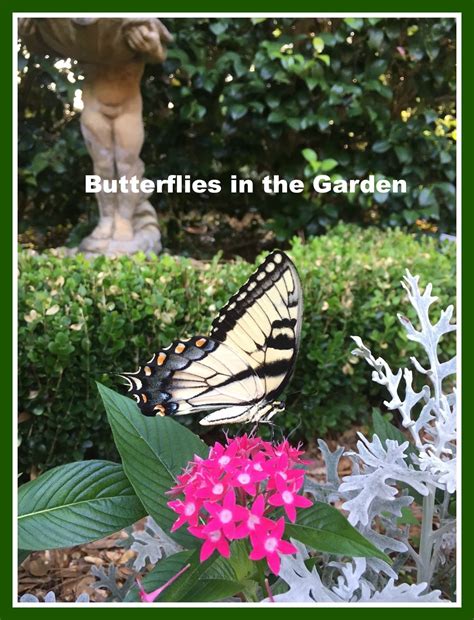 Butterflies in the Garden - Living With Thanksgiving