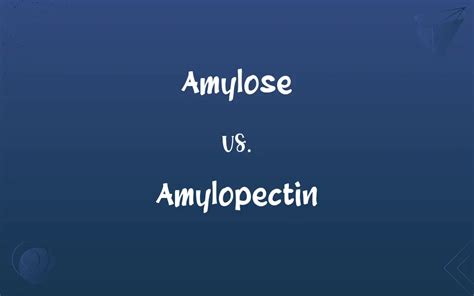 Amylose vs. Amylopectin: What’s the Difference?