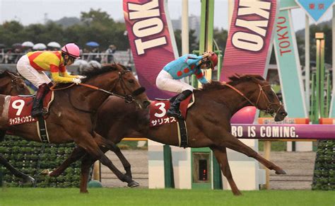 特集（2023年10月08日 東京11r 第74回毎日王冠） スポニチ競馬web