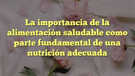 La Importancia De La Alimentaci N Saludable Como Parte Fundamental De