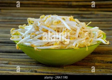 Mung Beanstree Sprouts In Shell Vigna Mungo Phaseolus Mungo Mung