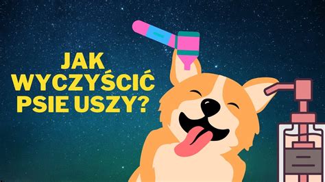 Jak wyczyścić psu uszy YouTube