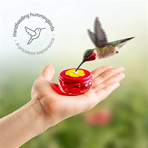 Handheld Small Glass Hummingbird Feeders Set Of 2 With Window Suction