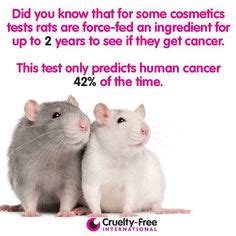 Animal Testing Cosmetics Facts