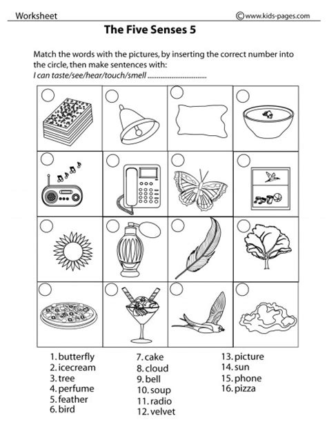 Five Senses Matching Worksheet Tims Printables Worksheets Library