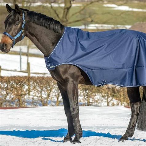 walker dekken tune equestrian