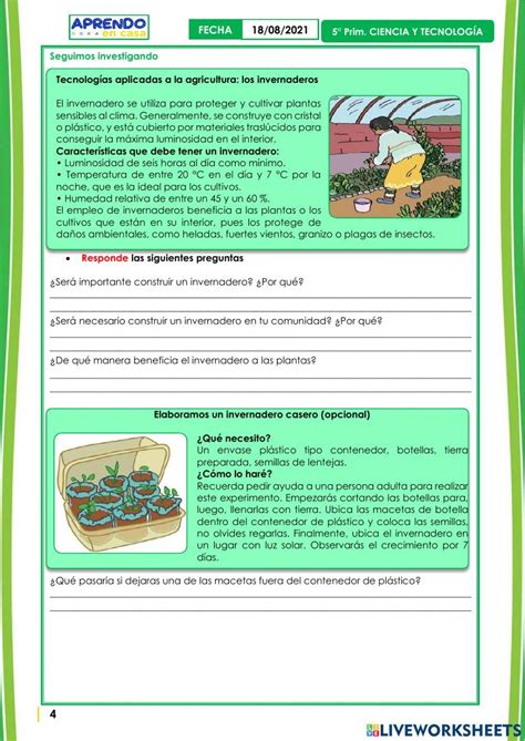 Conocemos Los Efectos De Los Fenómenos Naturales En Los Cultivos Worksheet Live Worksheets