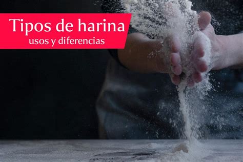 Guía Tipos De Harina Usos Y Características Aprende Institute