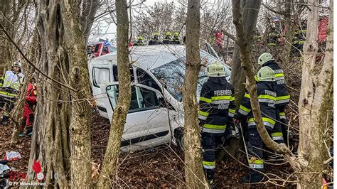 Stmk Zwei Schwerverletzte Bei Kollision Eines Transporters Mit Baum In