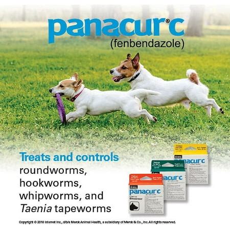 Panacur C Dewormer (Fenbendazole) for Dogs, Three 4-Gram Packets (40 Pounds) - Walmart.com ...