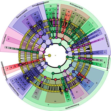 Linear Discriminant Analysis Effect Size Lefse Cladogram For