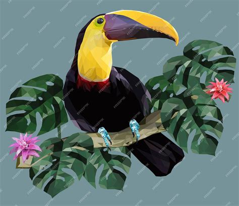 Illustration Polygonale Oiseau Toucan Et Plantes De La Forêt