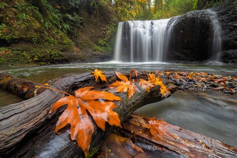 8 Best Parks In Happy Valley Oregon