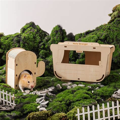 19 Weird Hamster Toys & Accessories He’ll Love!