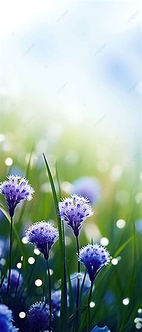 Grass With Flowers Background Wallpaper Image For Free Download - Pngtree