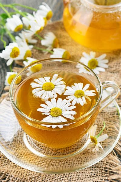 Chamomile Tea Benefits For Stomach