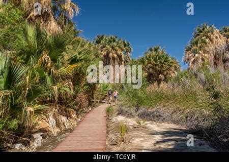 The Coachella Valley Preserve and Thousand Palms Oasis at Thousand ...