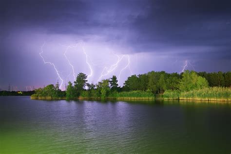 Lightning Damage on Trees: Assessing the Damage - SB Tree Service