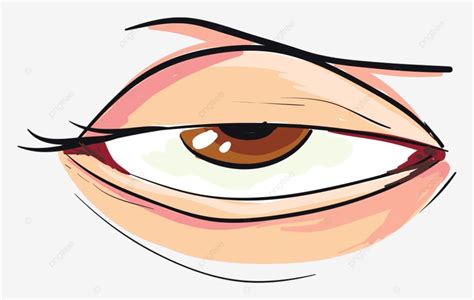 Half Closed Eye Of A Woman White Background Hazel Health Eye Png And