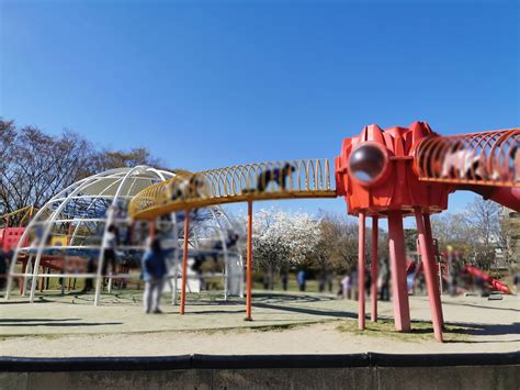 広い芝生、大きな遊具！仙台の公園といえばここ！七北田公園で遊びました