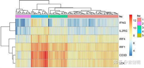 基于基因集的样品队列分组之层次聚类 知乎