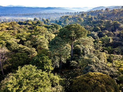 Championing Ethiopia’s Coffee Farmers in the Birthplace of Arabica