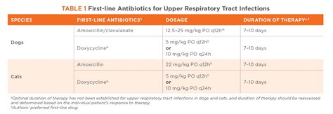 Antibiotic Stewardship In Canine And Feline Respiratory Infections