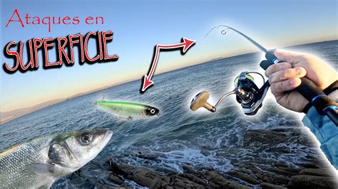 Lubinas A Spinning La Pesca Con Paseantes De Superficie En Con