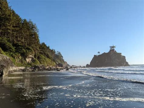 Best Beach Trails in Redwood National Park | AllTrails