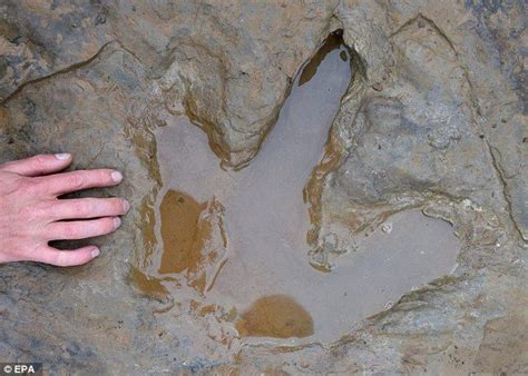 Pin By Hailee On Film Jurassic Park Dinosaur Footprint Jurassic Park World Giant Dinosaur