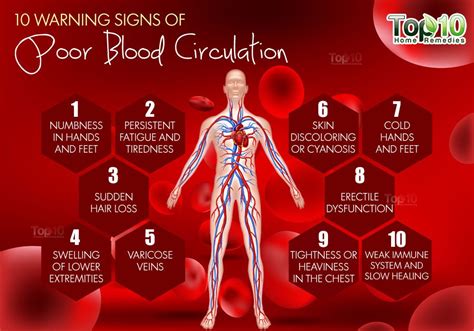 10 Warning Signs of Poor Blood Circulation | Top 10 Home Remedies