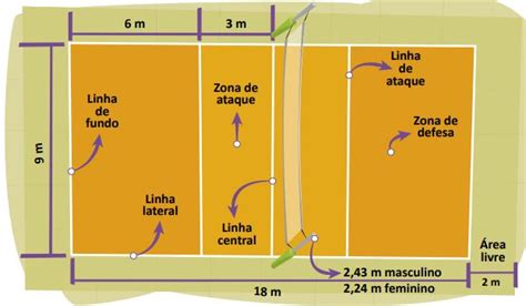 Voleibol Regras Posições Fundamentos e História Cola da Web