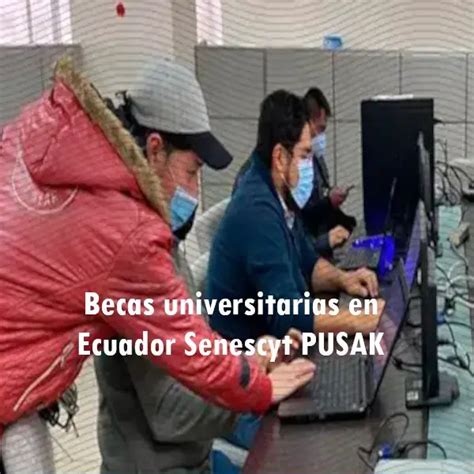 Becas Universitarias En Ecuador Senescyt Pusak Elyex