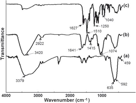 Ftir Spectra Of A Uncoated Fe3o4 B Chitosan Coated Fe3o4