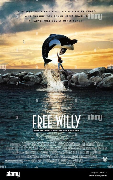 Free Willy 4 Poster