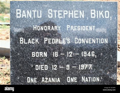 Steve biko's funeral hi-res stock photography and images - Alamy