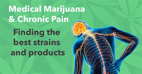 Best Cannabis Strains And Products For Chronic Pain