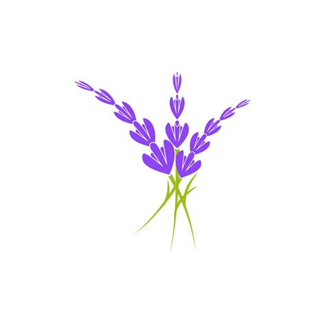 Lavender Flower Vector Icon Illustration 13209420 Vector Art At Vecteezy