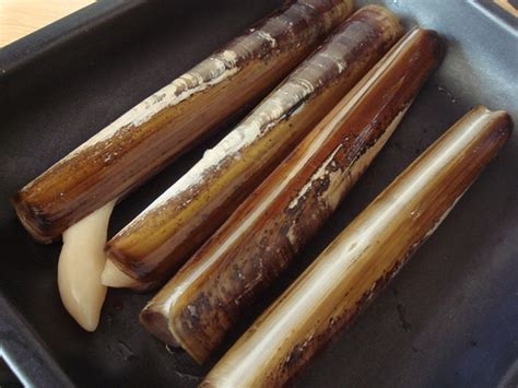 Asian Grilled Razor Clams (Recipe)