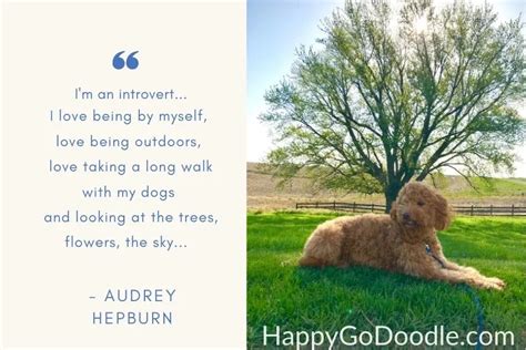 25 Happy Dog Mom Quotes Especially for You - Happy-Go-Doodle®