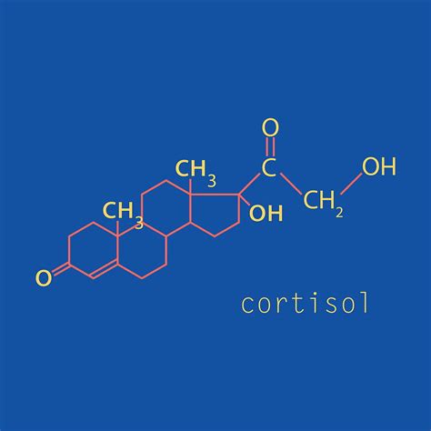 chemical molecular formula   hormone vector eps ai uidownload