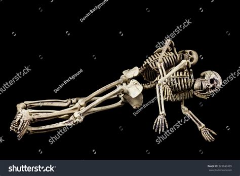 Halloween Sexskeletons Having Sex On Black Stock Photo