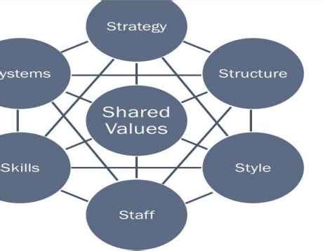 [Solved]: McKinsey 7S Model is a strategic assessment and al