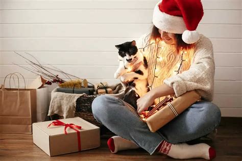 Regalos De Navidad Para Los Amantes De Los Gatos 10 Ideas De 10 A 50