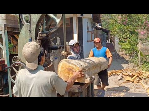 Luar Biasa Penampakan Kayu Jati Tua Yang Dibelah Dengan Mesin Bandsaw