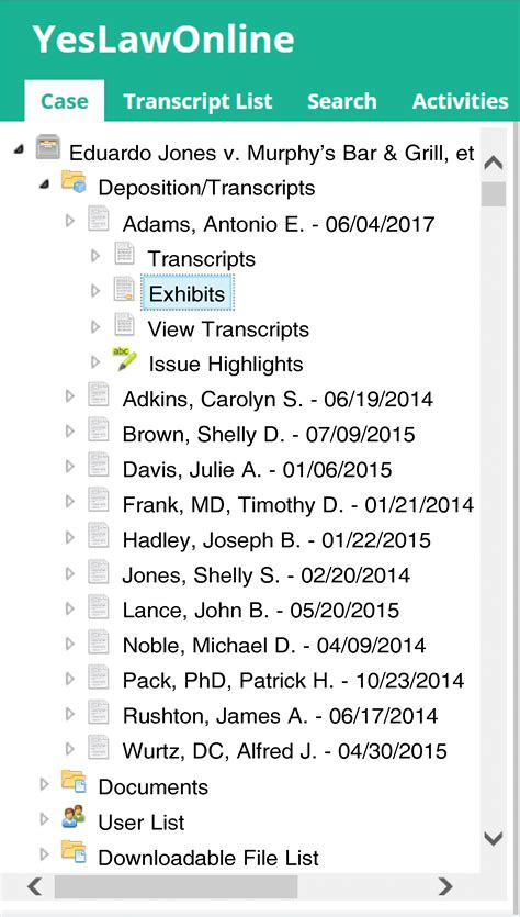 User manuals explain the idaho court repository search features 28