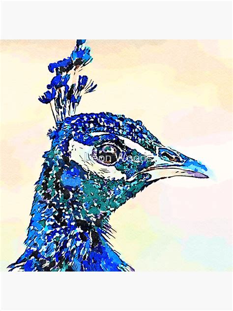 Peacock Sticker For Sale By Leonwoods Redbubble