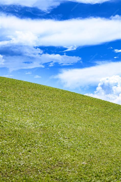 Premium Photo Field Of Green Fresh Grass Under Blue Sky Green Grass