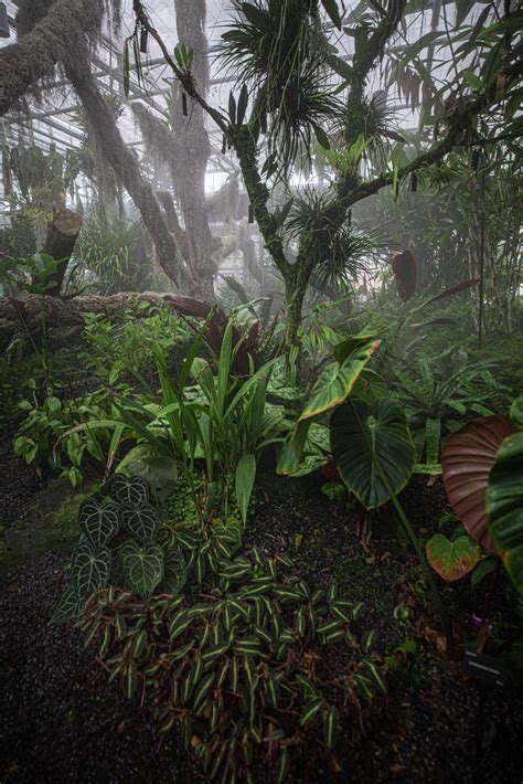 Atlanta Botanical Garden - Annie Fairfax